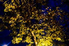 DSC01975